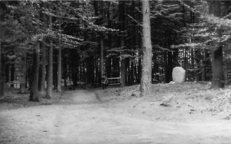 Röpke Gedenkstein