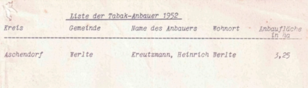 Tabakanbau auf dem Hümmling